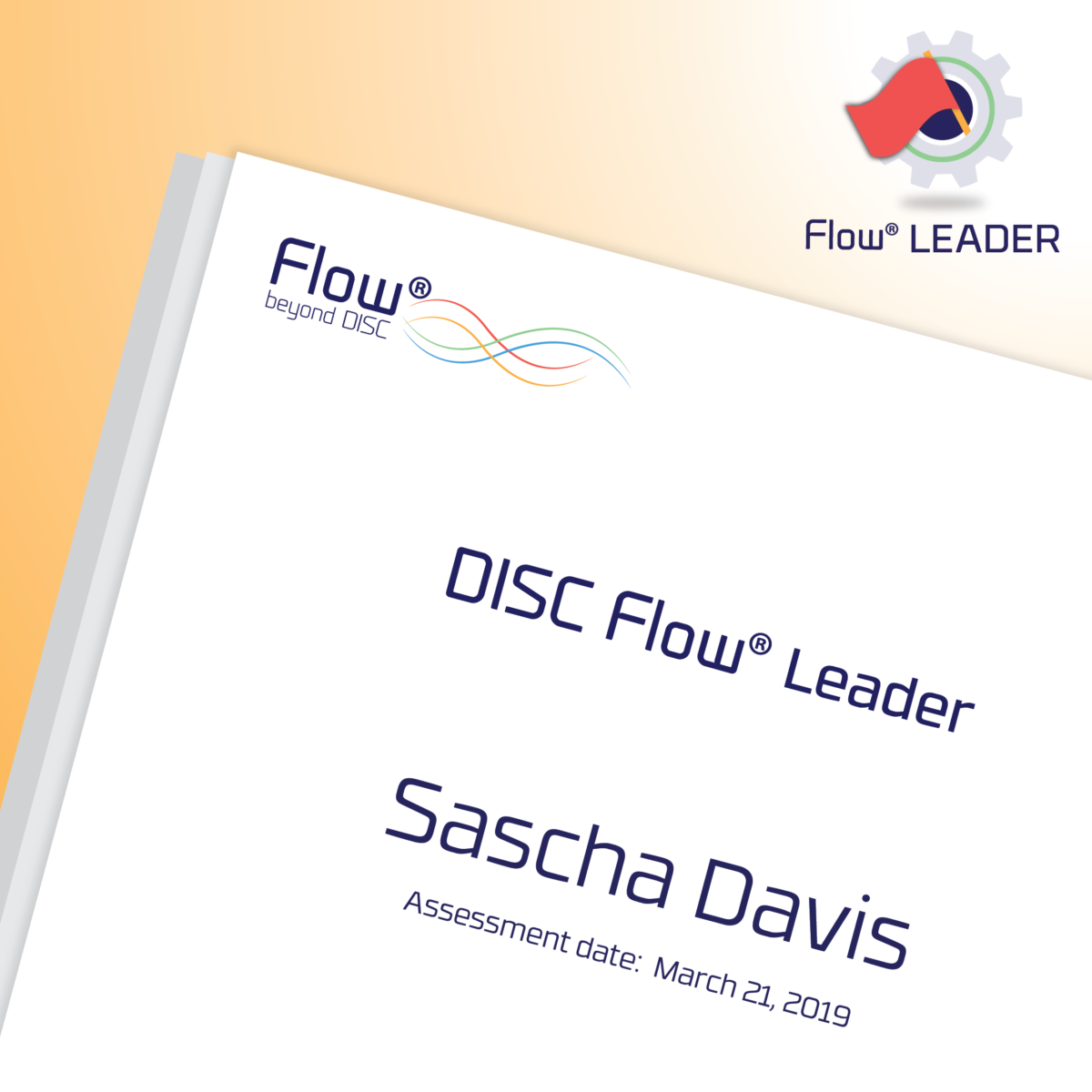 DISC Flow® LEADER